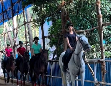 Horse riding class by "UK United Horse-Riding Academy "