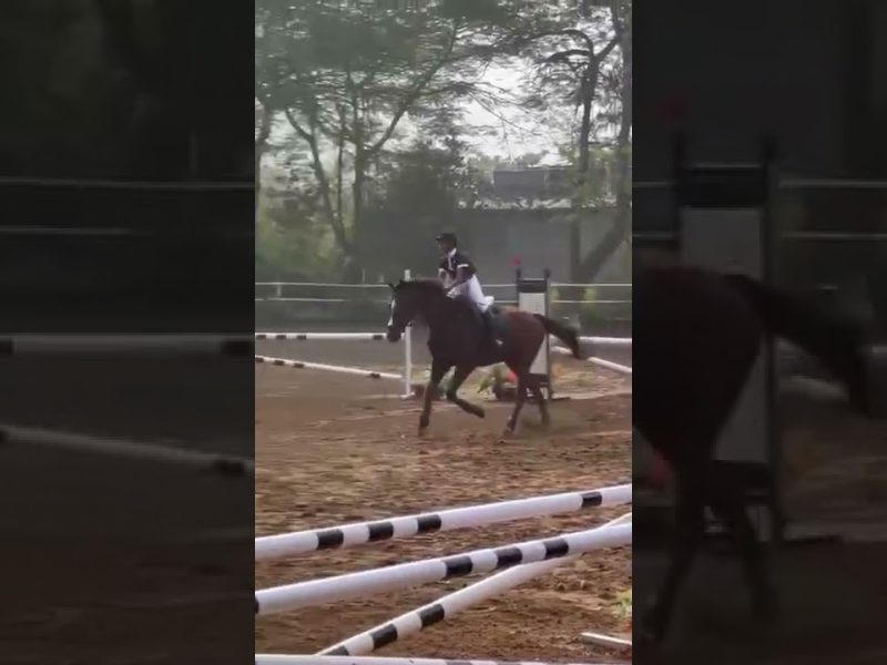 Horse riding class by "UK United Horse-Riding Academy "
