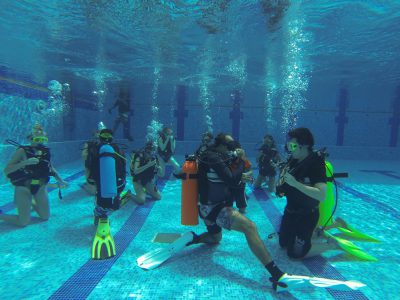 Scuba Diving courses by Orca Dive club