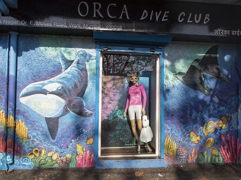 Scuba Diving courses by Orca Dive club