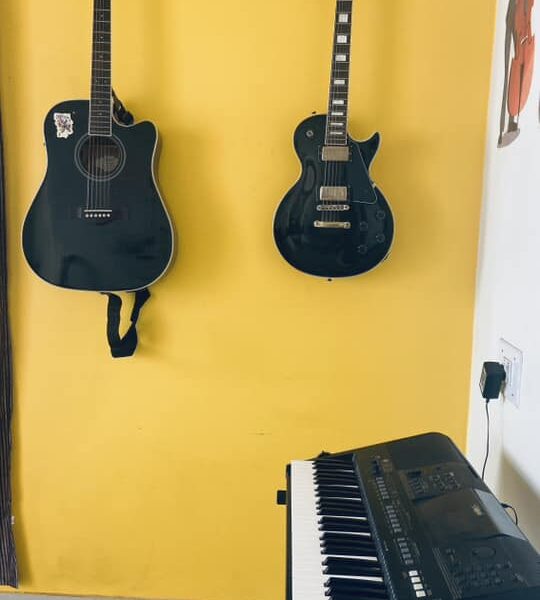 Guitar, keyboard, drums, violin, piano, Western vocals, Hindustani vocals class by Asturias Music And Dance School
