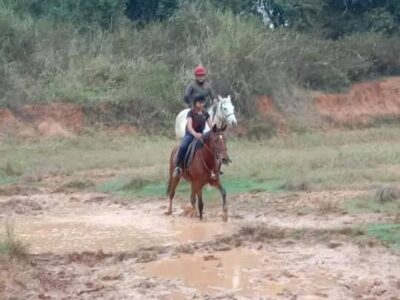 Horse Riding classes by Flying sea stallion (Adult, Children)